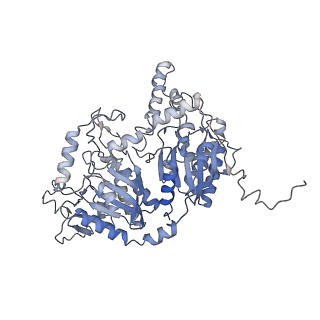 28846_8f3d_A_v1-1
3-methylcrotonyl-CoA carboxylase in filament, beta-subunit centered
