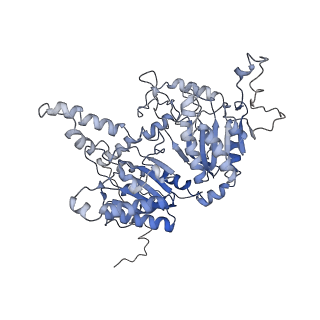 28846_8f3d_B_v1-1
3-methylcrotonyl-CoA carboxylase in filament, beta-subunit centered