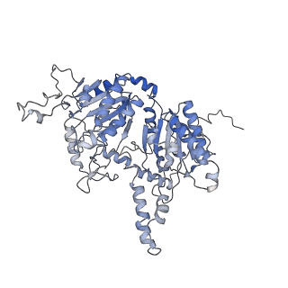 28846_8f3d_D_v1-1
3-methylcrotonyl-CoA carboxylase in filament, beta-subunit centered