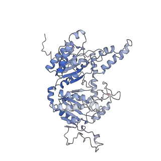 28846_8f3d_F_v1-1
3-methylcrotonyl-CoA carboxylase in filament, beta-subunit centered