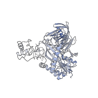 28846_8f3d_H_v1-1
3-methylcrotonyl-CoA carboxylase in filament, beta-subunit centered
