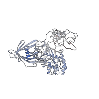 28846_8f3d_I_v1-1
3-methylcrotonyl-CoA carboxylase in filament, beta-subunit centered