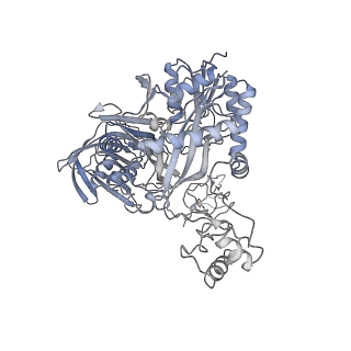 28846_8f3d_J_v1-1
3-methylcrotonyl-CoA carboxylase in filament, beta-subunit centered