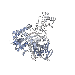 28846_8f3d_L_v1-1
3-methylcrotonyl-CoA carboxylase in filament, beta-subunit centered