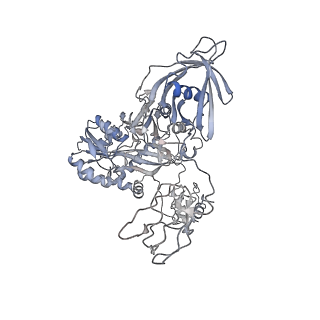 28846_8f3d_M_v1-1
3-methylcrotonyl-CoA carboxylase in filament, beta-subunit centered