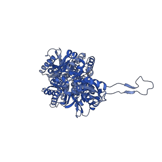 28848_8f3e_C_v1-3
Trimer of aminoglycoside efflux pump AcrD