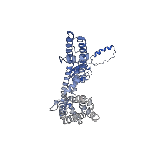 31433_7f3f_A_v1-1
CryoEM structure of human Kv4.2-KChIP1 complex