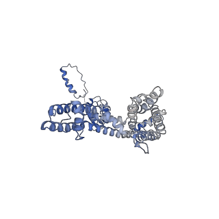 31433_7f3f_B_v1-1
CryoEM structure of human Kv4.2-KChIP1 complex