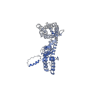 31433_7f3f_D_v1-1
CryoEM structure of human Kv4.2-KChIP1 complex