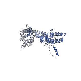 31433_7f3f_G_v1-1
CryoEM structure of human Kv4.2-KChIP1 complex
