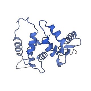 31433_7f3f_L_v1-1
CryoEM structure of human Kv4.2-KChIP1 complex