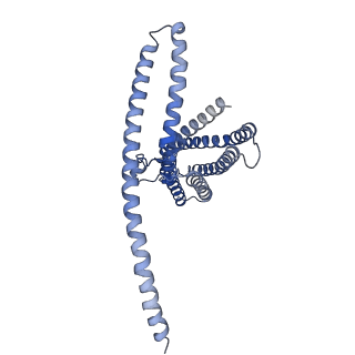 31440_7f3t_A_v1-1
Cryo-EM structure of human TMEM120A in the CoASH-bound state