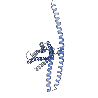 31440_7f3t_B_v1-1
Cryo-EM structure of human TMEM120A in the CoASH-bound state