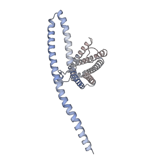 31441_7f3u_A_v1-1
Cryo-EM structure of human TMEM120A in the CoASH-free state