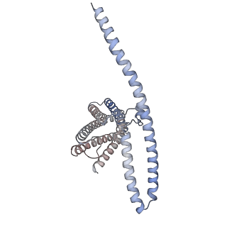 31441_7f3u_B_v1-1
Cryo-EM structure of human TMEM120A in the CoASH-free state