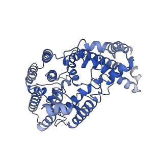 31442_7f3x_A_v1-1
Lysophospholipid acyltransferase LPCAT3 in complex with lysophosphatidylcholine