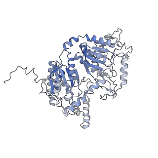 28849_8f41_A_v1-1
3-methylcrotonyl-CoA carboxylase in filament, alpha-subunit centered