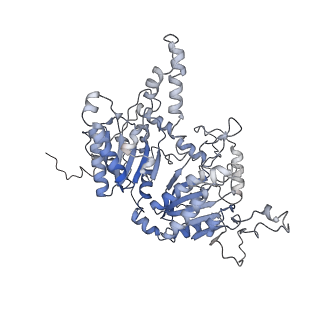 28849_8f41_B_v1-1
3-methylcrotonyl-CoA carboxylase in filament, alpha-subunit centered