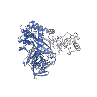 28849_8f41_H_v1-1
3-methylcrotonyl-CoA carboxylase in filament, alpha-subunit centered
