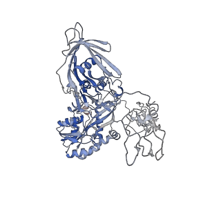 28849_8f41_I_v1-1
3-methylcrotonyl-CoA carboxylase in filament, alpha-subunit centered