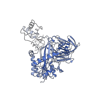 28849_8f41_J_v1-1
3-methylcrotonyl-CoA carboxylase in filament, alpha-subunit centered