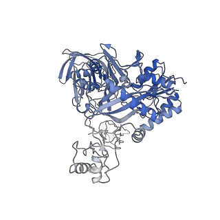 28849_8f41_L_v1-1
3-methylcrotonyl-CoA carboxylase in filament, alpha-subunit centered