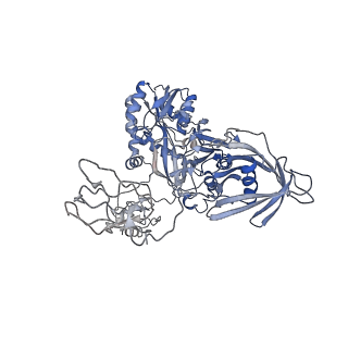 28849_8f41_M_v1-1
3-methylcrotonyl-CoA carboxylase in filament, alpha-subunit centered