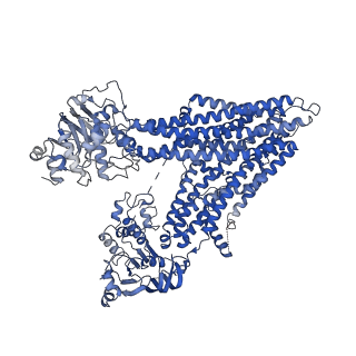 28854_8f4b_A_v1-0
Bovine multidrug resistance protein 1 (MRP1) bound to cyclic peptide inhibitor 1 (CPI1)