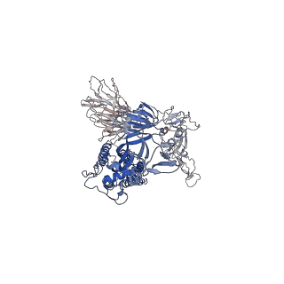 28856_8f4p_A_v1-0
SARS-CoV-2 spike protein trimer (down conformation) bound with a nanobody