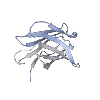 28856_8f4p_D_v1-0
SARS-CoV-2 spike protein trimer (down conformation) bound with a nanobody