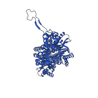 28857_8f4r_A_v1-3
Gentamicin bound aminoglycoside efflux pump AcrD