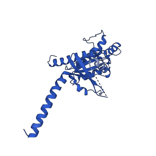 31448_7f4d_A_v1-1
Cryo-EM structure of alpha-MSH-bound melanocortin-1 receptor in complex with Gs protein and Nb35