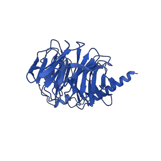31448_7f4d_B_v1-1
Cryo-EM structure of alpha-MSH-bound melanocortin-1 receptor in complex with Gs protein and Nb35