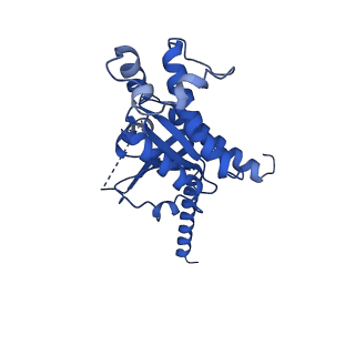 31449_7f4f_A_v1-1
Cryo-EM structure of afamelanotide-bound melanocortin-1 receptor in complex with Gs protein and scFv16