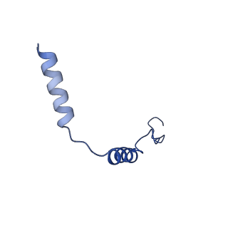 31449_7f4f_G_v1-1
Cryo-EM structure of afamelanotide-bound melanocortin-1 receptor in complex with Gs protein and scFv16