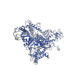 31450_7f4g_A_v1-1
Structure of RPAP2-bound RNA polymerase II