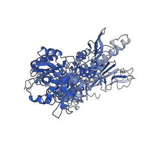 31450_7f4g_B_v1-1
Structure of RPAP2-bound RNA polymerase II