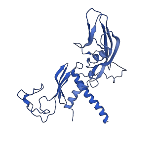 31450_7f4g_C_v1-1
Structure of RPAP2-bound RNA polymerase II