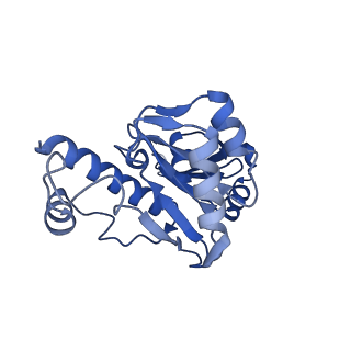31450_7f4g_E_v1-1
Structure of RPAP2-bound RNA polymerase II