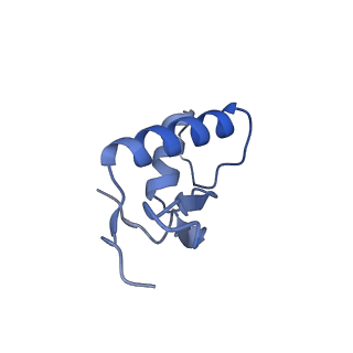 31450_7f4g_F_v1-1
Structure of RPAP2-bound RNA polymerase II