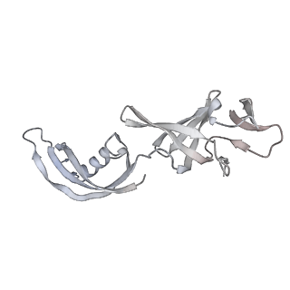 31450_7f4g_G_v1-1
Structure of RPAP2-bound RNA polymerase II