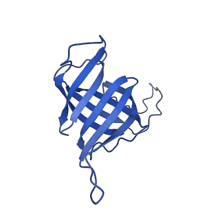 31450_7f4g_H_v1-1
Structure of RPAP2-bound RNA polymerase II