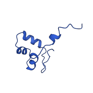31450_7f4g_J_v1-1
Structure of RPAP2-bound RNA polymerase II