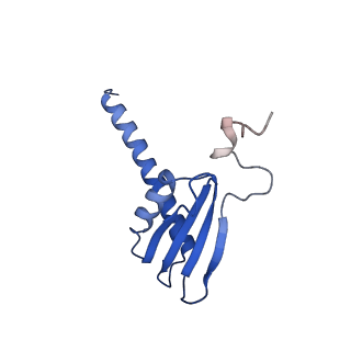 31450_7f4g_K_v1-1
Structure of RPAP2-bound RNA polymerase II