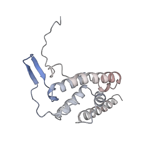 31450_7f4g_R_v1-1
Structure of RPAP2-bound RNA polymerase II