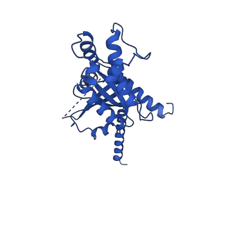 31452_7f4h_A_v1-1
Cryo-EM structure of afamelanotide-bound melanocortin-1 receptor in complex with Gs protein, Nb35 and scFv16