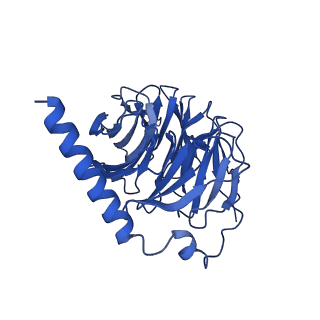 31452_7f4h_B_v1-1
Cryo-EM structure of afamelanotide-bound melanocortin-1 receptor in complex with Gs protein, Nb35 and scFv16