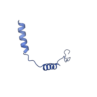 31452_7f4h_G_v1-1
Cryo-EM structure of afamelanotide-bound melanocortin-1 receptor in complex with Gs protein, Nb35 and scFv16