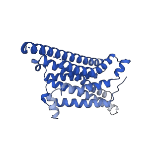31452_7f4h_R_v1-1
Cryo-EM structure of afamelanotide-bound melanocortin-1 receptor in complex with Gs protein, Nb35 and scFv16