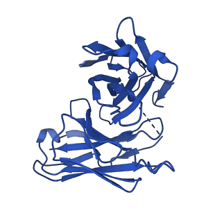 31452_7f4h_S_v1-1
Cryo-EM structure of afamelanotide-bound melanocortin-1 receptor in complex with Gs protein, Nb35 and scFv16